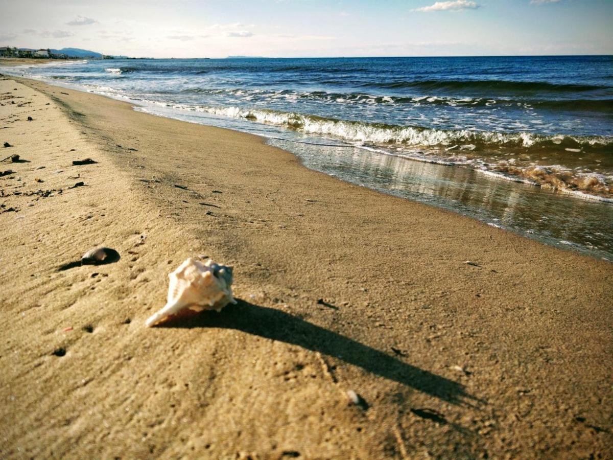 Hello Piles Beach Javier Εξωτερικό φωτογραφία